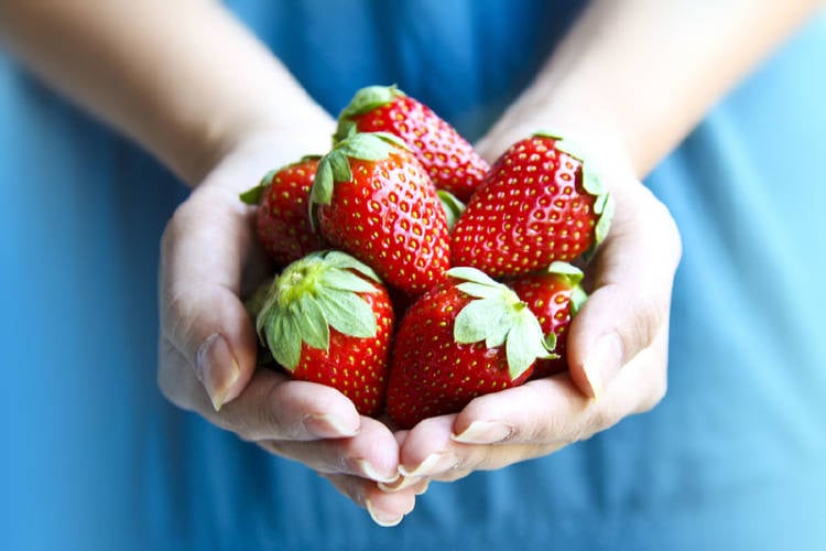 0_fresas-o-frutillas-1.jpg 0_fresas-o-frutillas-1.jpg
