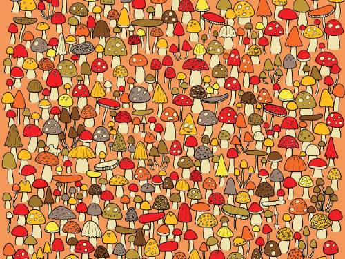 Dudolf portada Dudolf portada