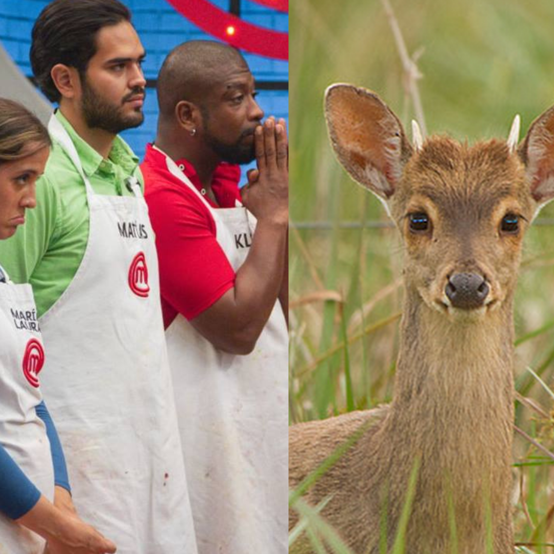 Diseño sin título Diseño sin título