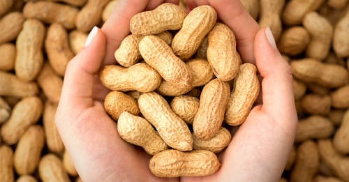 alimentos legumbres alimentos legumbres