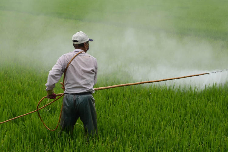 glisofato herbicida glisofato herbicida