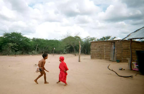 niños indígenas colombia sequía niños indígenas colombia sequía