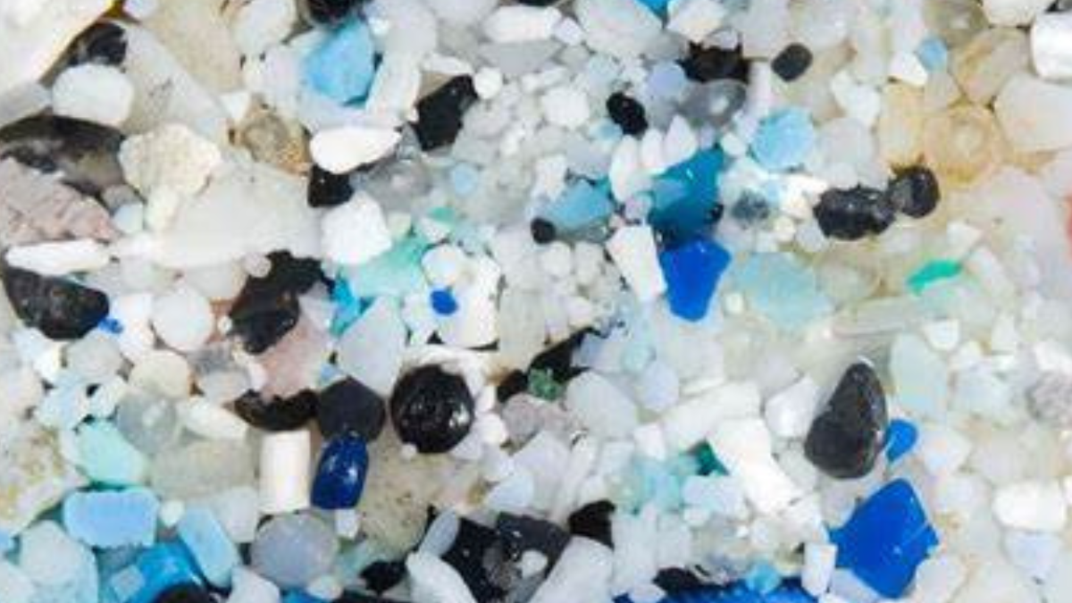 sal plasticos Es importante revisar las certificaciones y transparencia de las marcas.