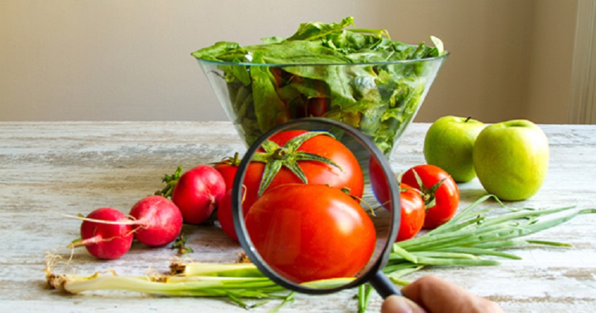 Alimentos, verduras Alimentos, verduras y lupa