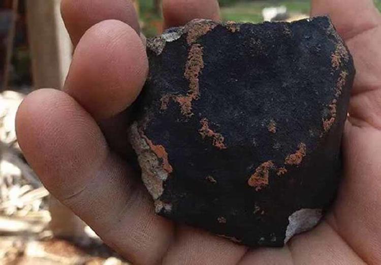 allabogdanita allabogdanita