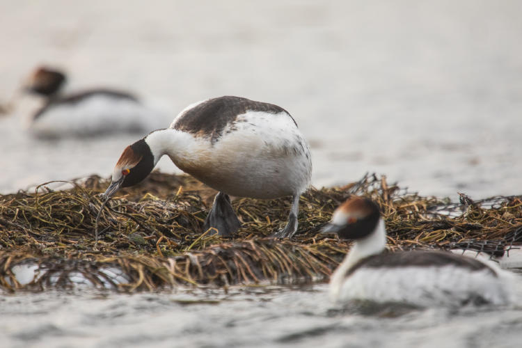 GonzaloPardo_PMT_8 GonzaloPardo_PMT_8