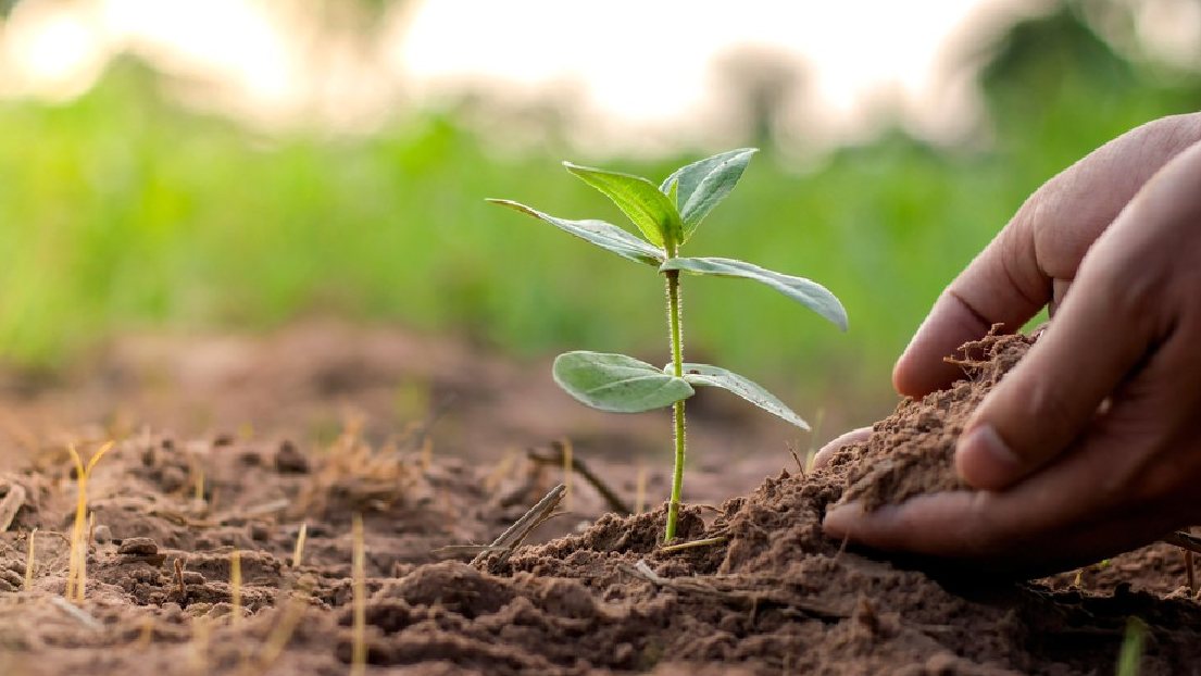 Foto comercial 2 Foto comercial 2