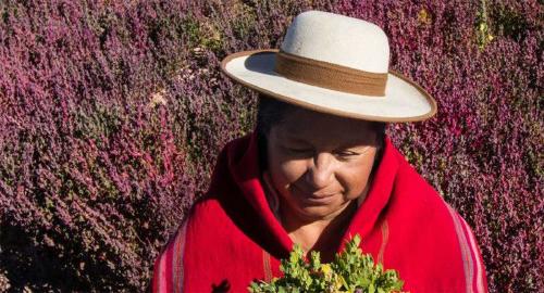 trigidia jimenez trigidia jimenez