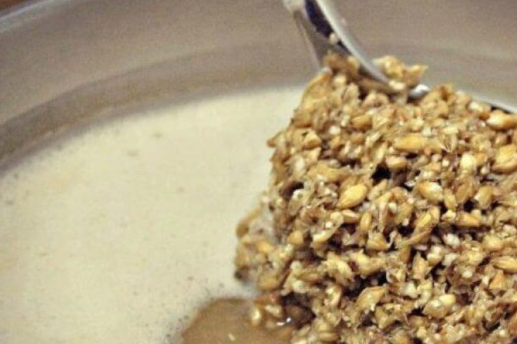 bagazo de cerveza.png Bagazo de cerveza: el nuevo oro proteico (Imagen: www.infocampo.com.ar)