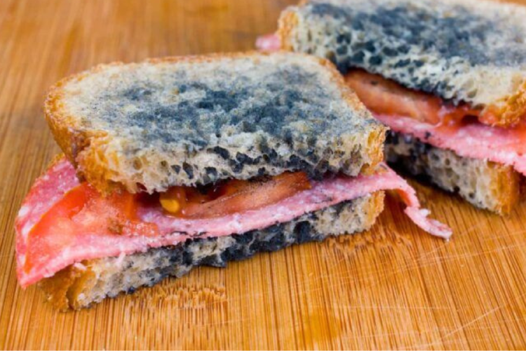 pan hongos Las fumonisinas y tricotecenos aparecen en maíz y trigo, y pueden provocar desde vómitos hasta problemas neurológicos. (Imagen: Pinterest)