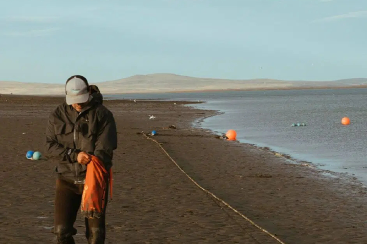 Patagonia En febrero se realizará la primera cosecha piloto, un paso decisivo que podría abrir el camino a nuevas alternativas productivas sustentables en la costa santacruceña. (Imagen: noticiasambientales.com)