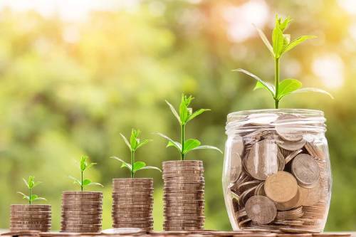 8 nuevos negocios para tener un futuro regenerativo
