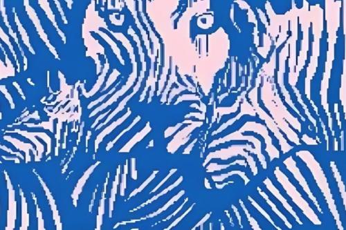 Acertijo visual Descubre si eres una persona sociable según lo primero que veas en esta imagen (Foto: GenialGuru).