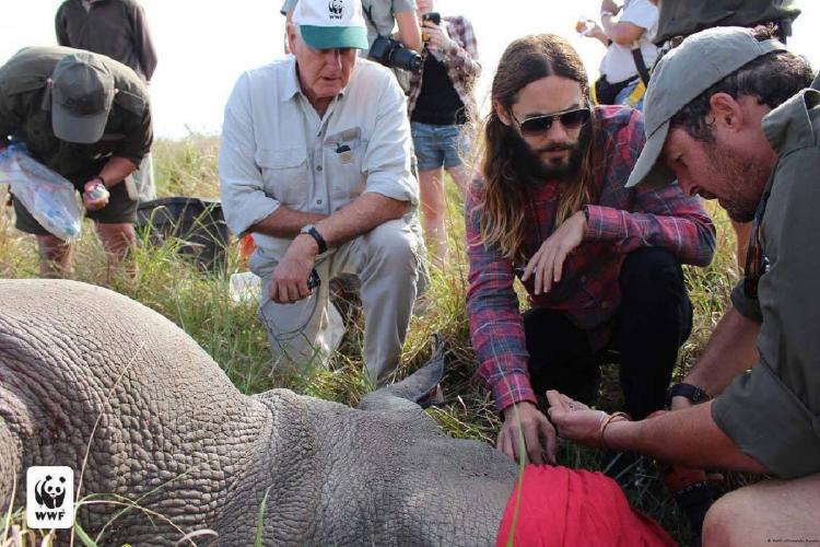 jaredleto Leonardo DiCaprio