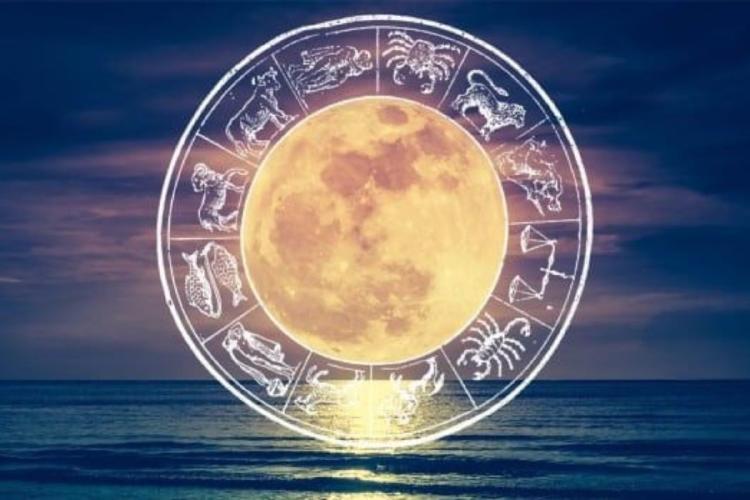 Diseño sin título 2024 10 21T201606.507 Diseño sin título 2024 10 21T201606.507