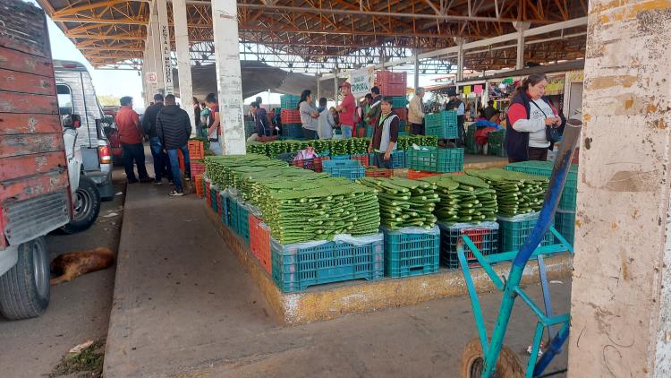 Comercialización Comercialización