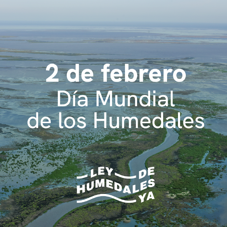 HUMEDALES FARN HUMEDALES FARN