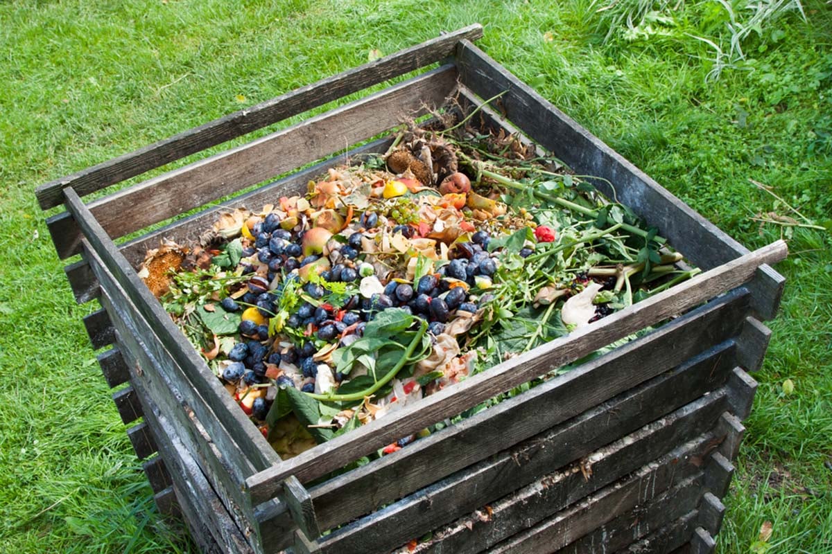 compost 3 alternativas naturales para sustituir el uso de fertilizantes