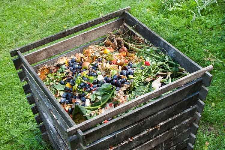 compost 3 alternativas naturales para sustituir el uso de fertilizantes