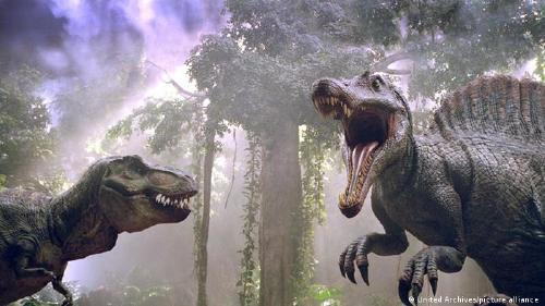 65835551_303 65835551_303