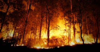incendios forestales indonesia