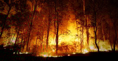 Todo lo que necesitas acerca de los incendios en Australia