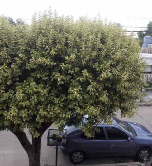 Reto visual Reto visual