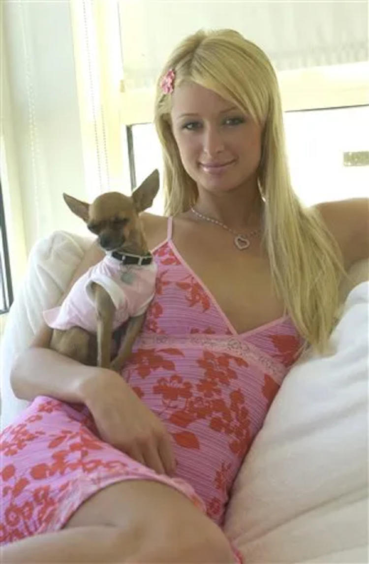 paris hilton2 paris hilton2