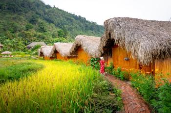 Cabañas en el campo