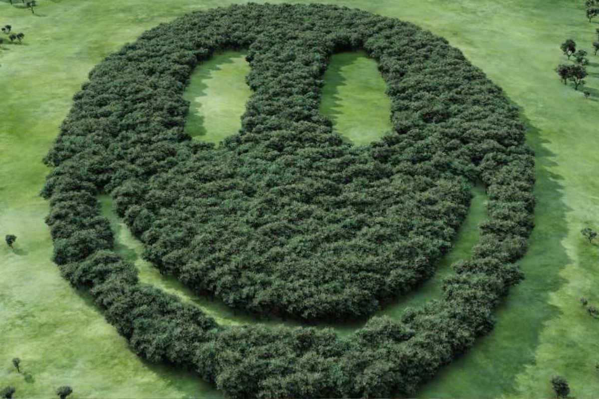 sonrisa verde Un bosque con cobertura de árboles que forma un emoji sonriente. (Imagen representativa: Getty Images | Hiroshi Watanabe)