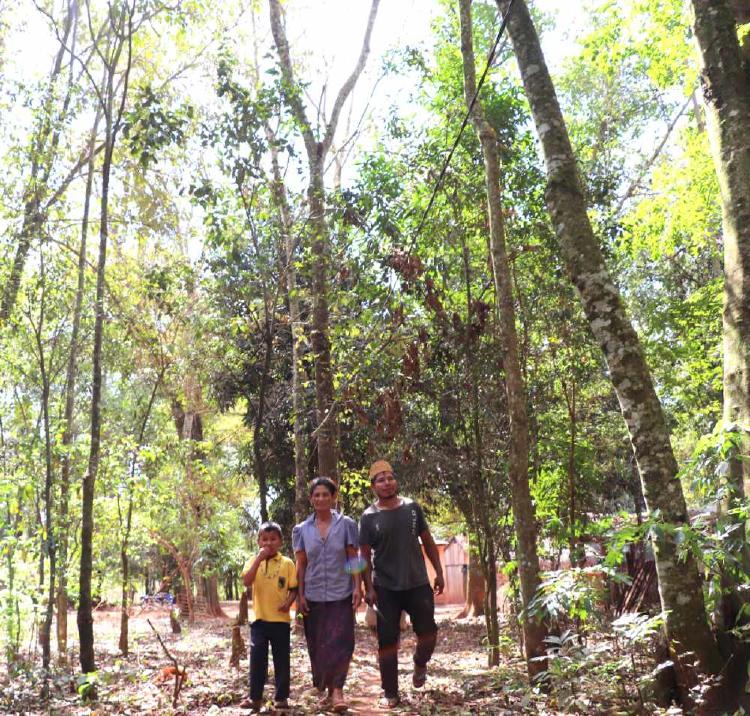 La poca masa boscosa que queda en la zona es la que conserva la comunidad indígena a la que pertenece doña Antolina.