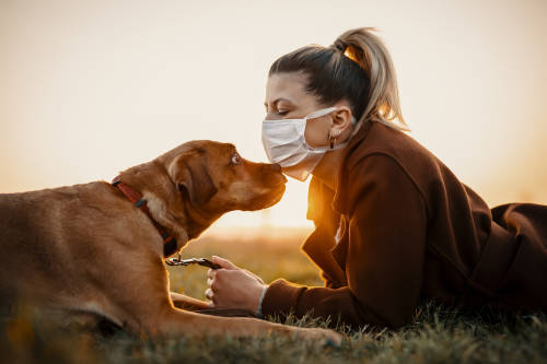 Mascotas y coronavirus: todo lo que debes saber al respecto