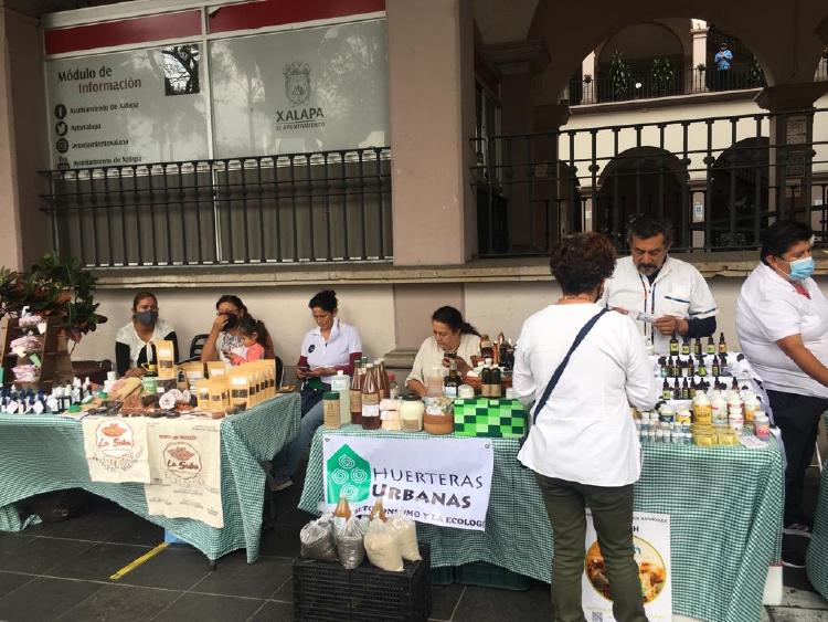 Mercado VerdeVer en Xalapa, Veracruz