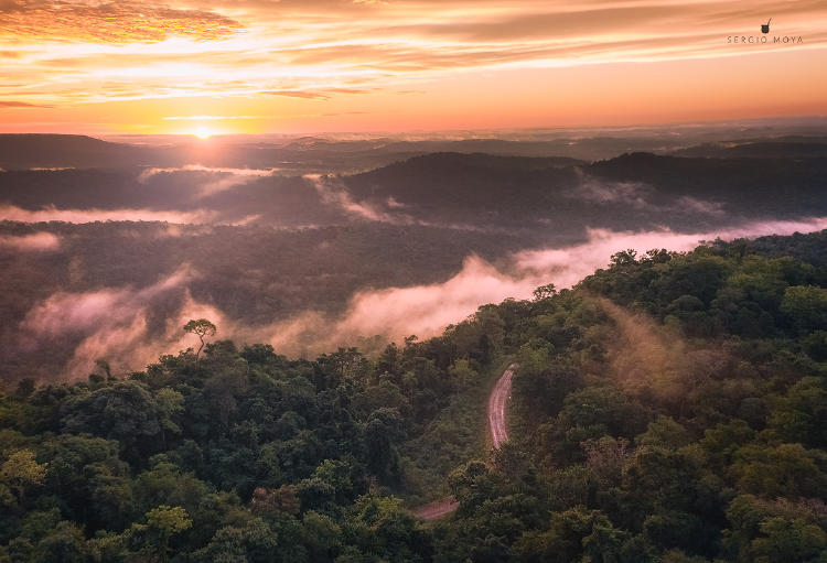 Sergio Moya (1) Sergio Moya (1)