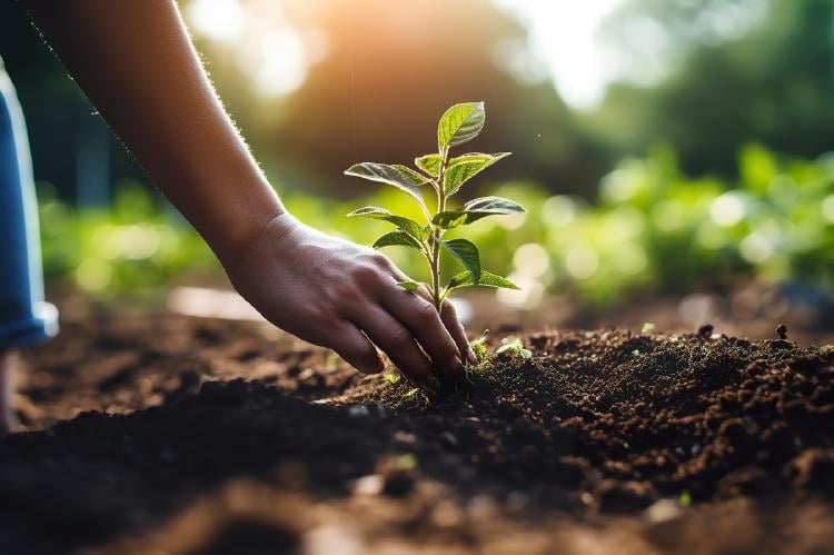 Jardinería regenerativa