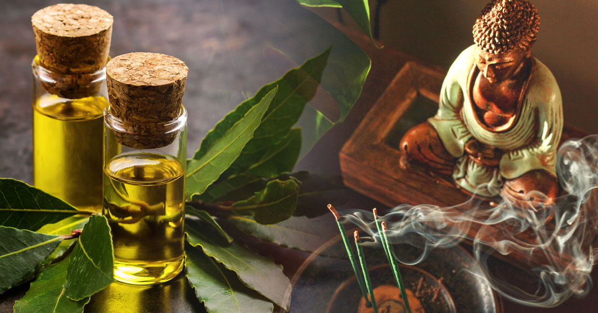 3 formas limpiar energia hogar laurel 3 formas limpiar energia hogar laurel