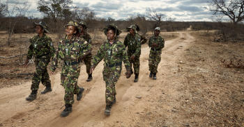 Black Mambas Anti Poaching Foot Patrol Protect South African Wildlife