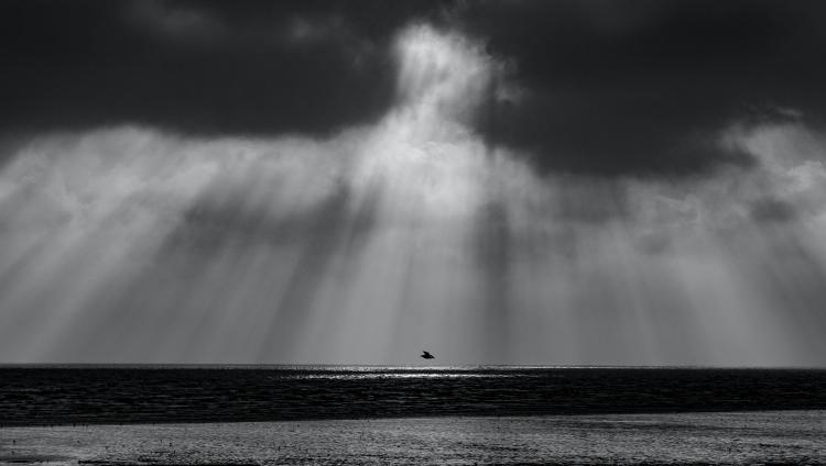 seres de luz en la tierra