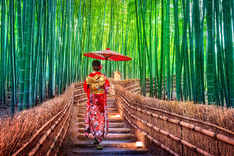 mujer japonesa con paraguas en una camino de bambu