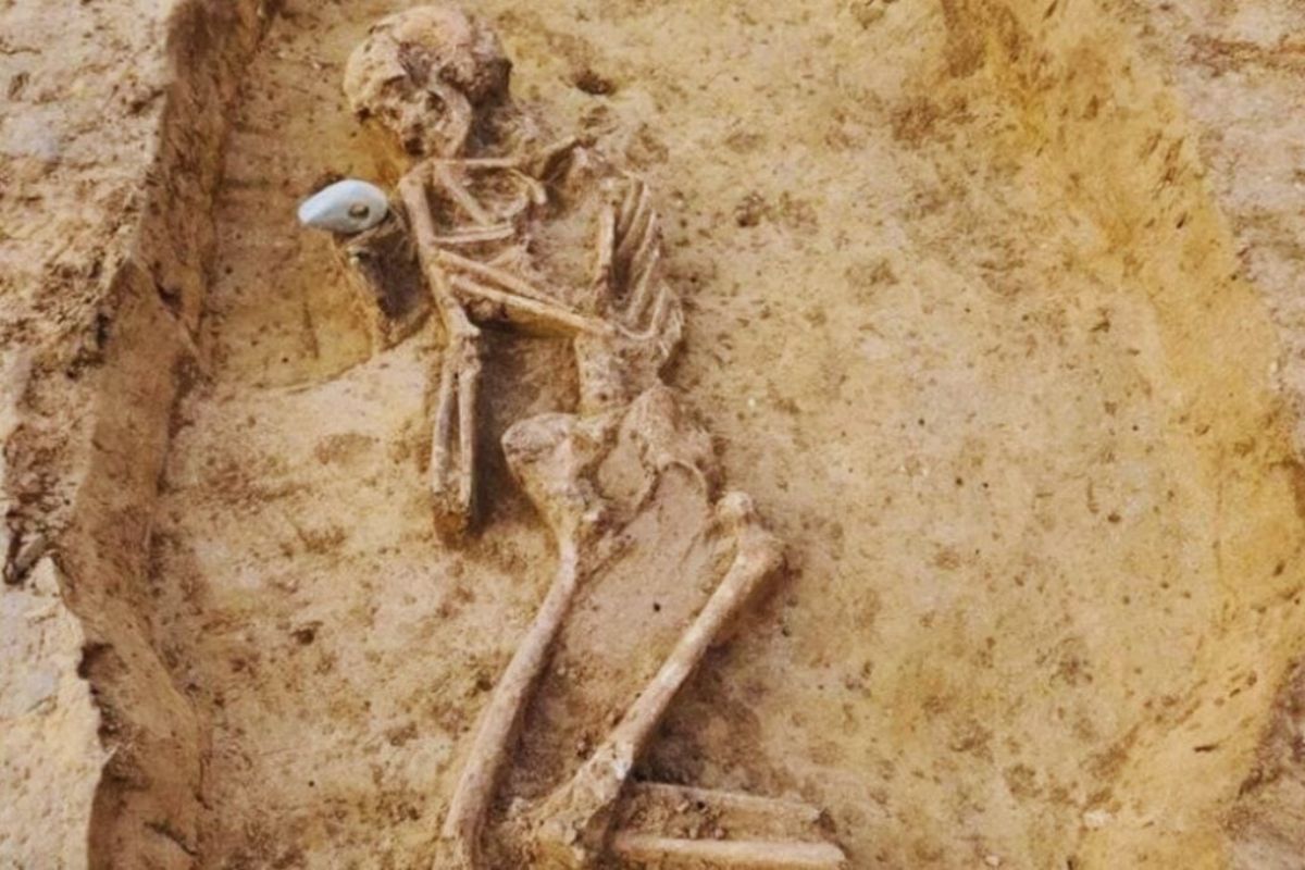 © Centro Arqueológico de Olomuc.