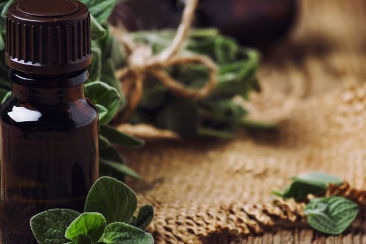 aceite de orégano aceite de orégano