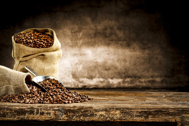 AdobeStock_293640755 AdobeStock_293640755