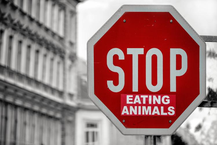 Veganismo, no comer animales. Un estilo de vida datos curiosos veganismo