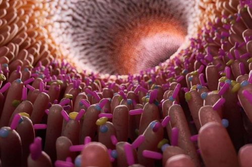 microbiota La ciencia investiga el vínculo entre el autismo y los microorganismos intestinales, pero los resultados siguen siendo ambiguos. ¿Es la microbiota parte del origen o una consecuencia del comportamiento alimentario? (Pinterest)