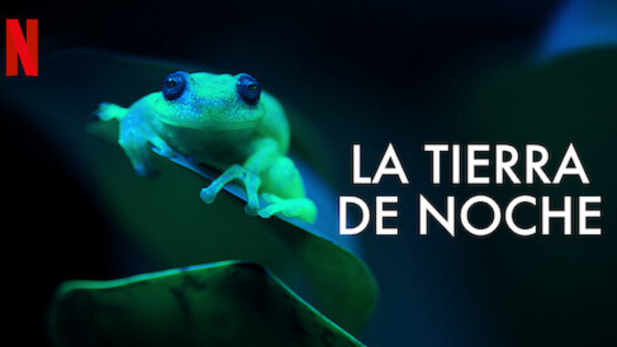 la tierra de noche \"La Tierra de noche\" es una impactante miniserie documental de Netflix que ofrece una visión única de la vida silvestre durante las horas nocturnas