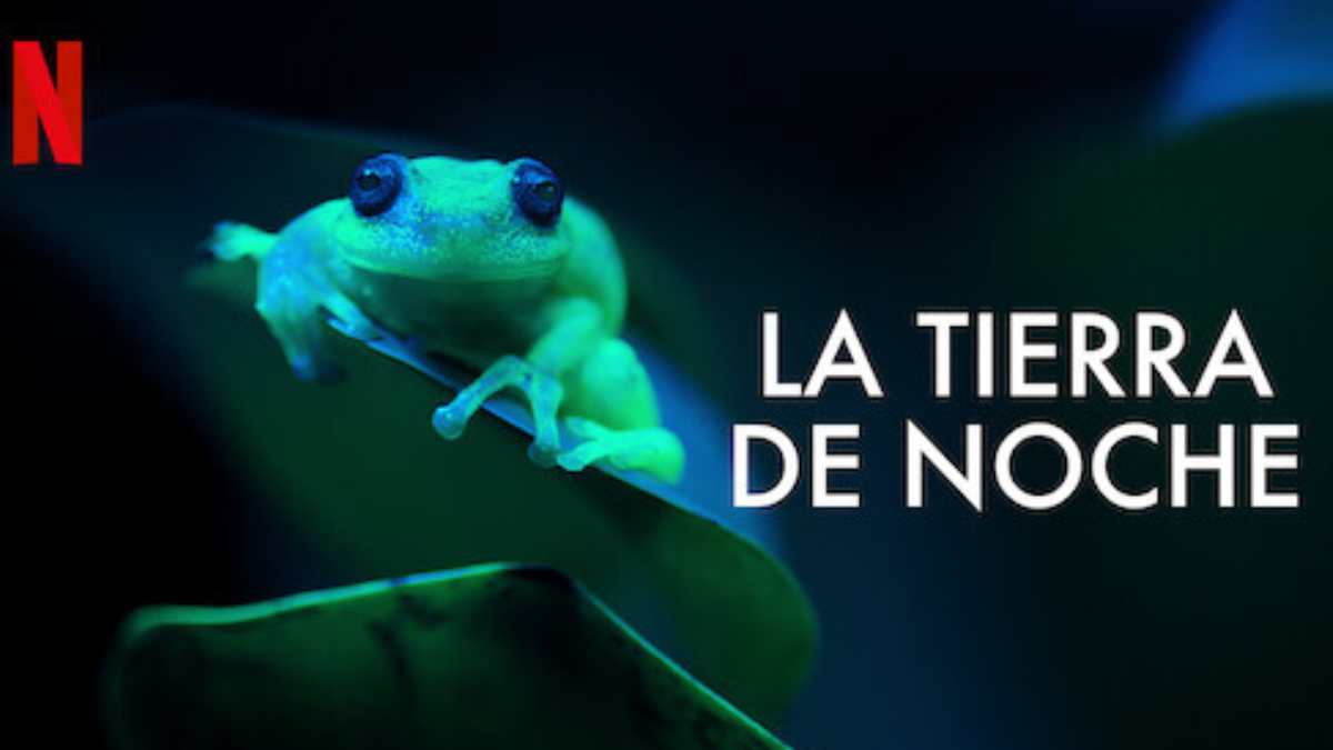 \"La Tierra de noche\" es una impactante miniserie documental de Netflix que ofrece una visión única de la vida silvestre durante las horas nocturnas