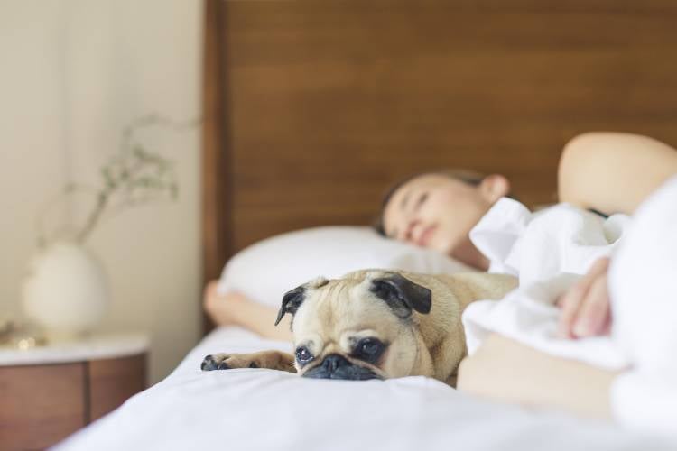 Una mujer durmiendo con su perro