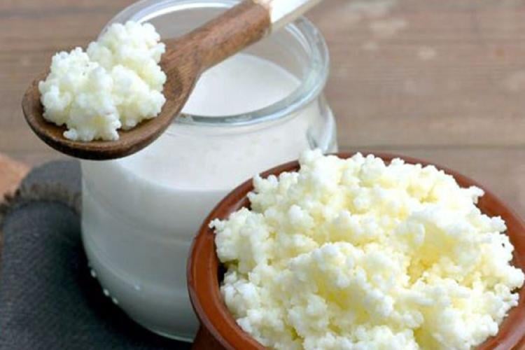 kefir Según la Clínica Cleveland, ambos tipos son excelentes fuentes de antioxidantes y microorganismos beneficiosos. (Imagen: Pinterest)