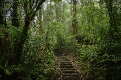 Foto 10 8 19 09 39 59 Foto 10 8 19 09 39 59