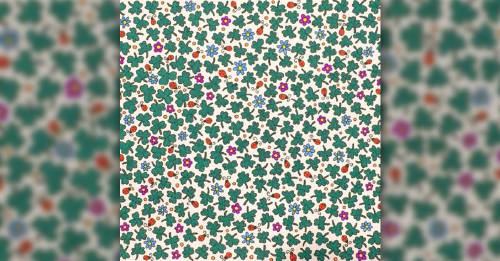 Reto visual: ¿puedes encontrar el trébol de 4 hojas en menos de un minuto?